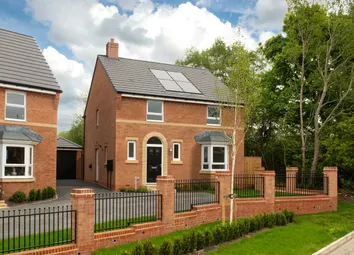 Dunnett External