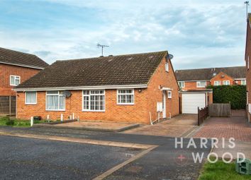 Thumbnail Bungalow for sale in Ashby Road, Witham, Essex