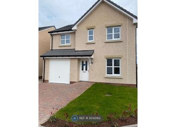Thumbnail Detached house to rent in Melville Brody Gardens, Kirkcaldy