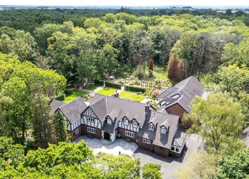 Drone View