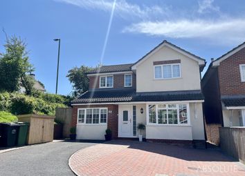 Thumbnail Detached house for sale in Stadium Drive, Kingskerswell