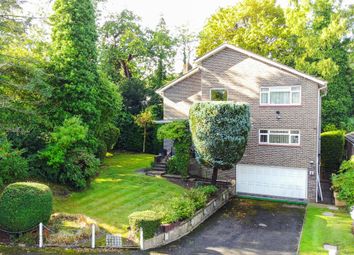 Thumbnail Detached house for sale in The Dell, Pinner