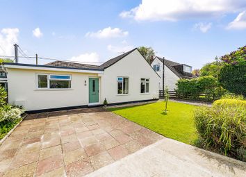 Thumbnail Detached bungalow for sale in Rectory Close, Broadmayne