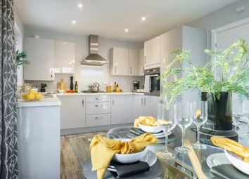 Showhome Photography