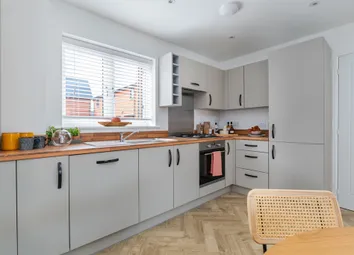 A Well-Equipped, Modern Kitchen