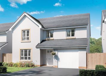 Thumbnail Detached house for sale in "Birkwood" at Rosslyn Crescent, Kirkcaldy