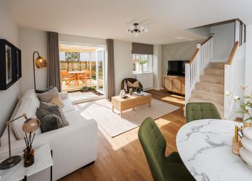 Vdsw Bh Pastures Rowan (10)