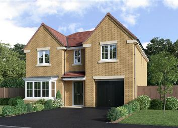 Thumbnail 4 bedroom detached house for sale in "The Sherwood" at Flatts Lane, Normanby, Middlesbrough