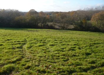 Thumbnail Land for sale in Cinderford Lane, Hellingly