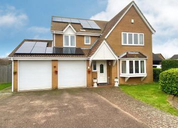 Thumbnail 4 bedroom detached house for sale in Seavert Close, Carlton Colville, Lowestoft, Suffolk