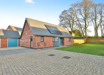 Thumbnail 2 bed detached bungalow for sale in Mayfly Road, Swaffham