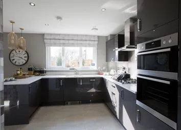 Showhome Photography