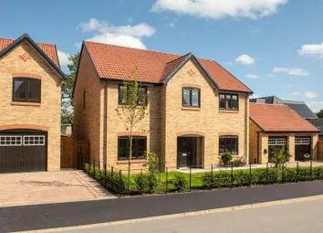 Showhome Photography
