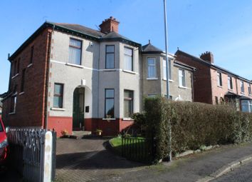 Thumbnail Property to rent in Luxor Gardens, Belfast, County Antrim