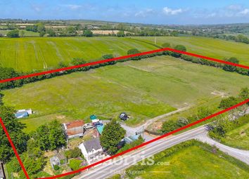 Property listing in Cardigan, Ceredigion