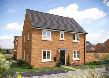 East Anglia_Millstone Park_Mountford Plot 10