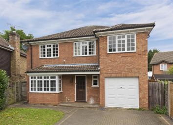 Thumbnail Detached house to rent in Armadale Road, Woking