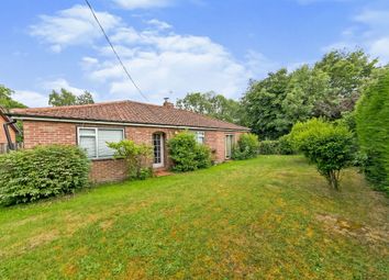 Thumbnail 4 bed detached bungalow for sale in Chapel Road, Otley, Ipswich