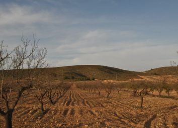 Thumbnail Land for sale in Abanilla, Murcia, Spain