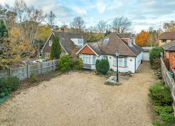 Thumbnail 4 bed detached bungalow for sale in Nine Mile Ride, Finchampstead, Berkshire