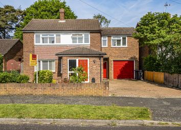 Thumbnail Detached house for sale in Bisley, Surrey