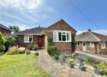 Thumbnail Detached bungalow for sale in Westminster Crescent, Hastings
