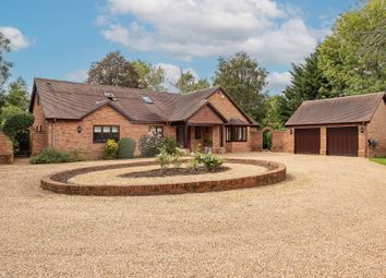 Thumbnail Detached house for sale in Holly Lane, Harpenden