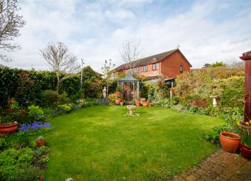 Thumbnail Detached house for sale in Cobbold Street, Roydon, Diss