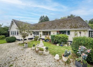 Thumbnail Bungalow for sale in Cherry Trees, Tamworth Road, Nether Whitacre