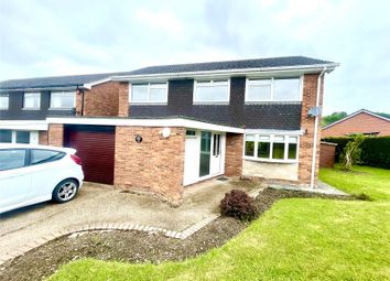 Thumbnail Detached house to rent in Brynglas Avenue, Newtown, Powys