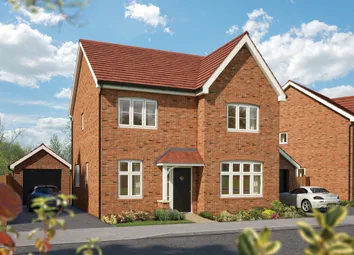 49691 Nessi X414 Plot 118 Aspen
