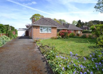 Thumbnail Detached bungalow for sale in Pickard Road, Ferndown