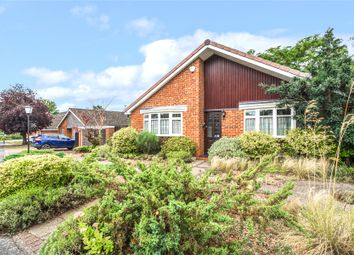 Thumbnail 3 bed bungalow for sale in Horsell, Woking, Surrey