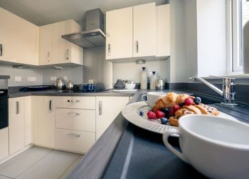 Typical Kitchen