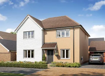 Dandara - Zoopla -