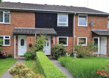 3 Bedroom  for rent