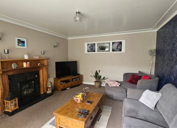 Torquay - Semi-detached house to rent          ...