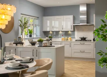 Showhome Photography