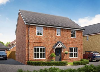 Property listing in Lowestoft, Suffolk