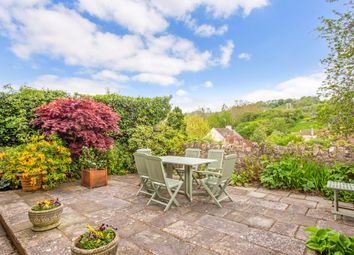Garden And View