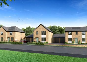 Thumbnail Detached house for sale in Miller Homes@, Forster Park, North Road, Stevenage