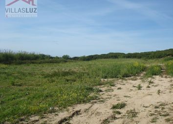 Thumbnail Land for sale in 2510 Óbidos Municipality, Portugal