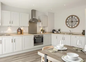 Dandara - Zoopla -
