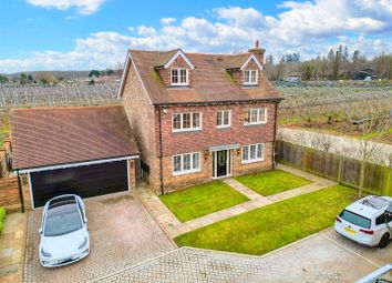 Thumbnail Detached house for sale in Penny Close, Boughton Monchelsea, Maidstone