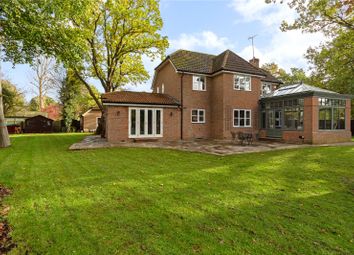 Thumbnail 5 bedroom detached house for sale in Broome Close, Yateley, Hampshire