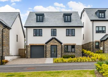 Thumbnail Detached house to rent in The Pinnacle, Old Totnes Road, Newton Abbot