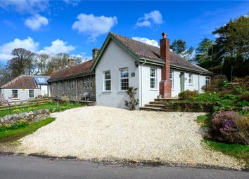 St Andrews - Bungalow for sale                    ...