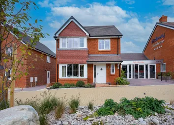 Showhome Photography