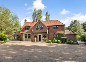 Thumbnail 5 bed equestrian property for sale in Shrubbs Hill, Chobham, Woking, Surrey