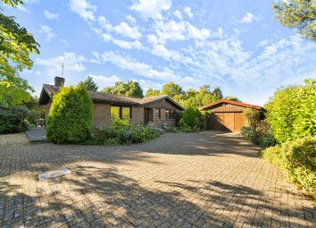 Thumbnail Detached bungalow for sale in Kimbolton Road, Bedford